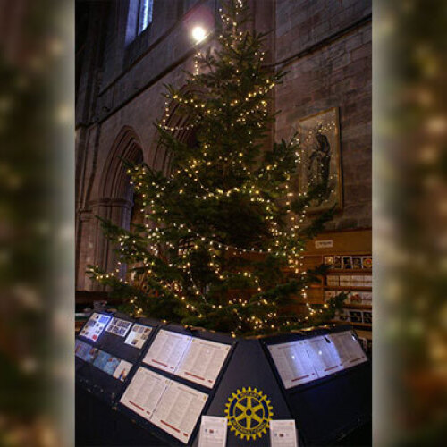 Tree of Light